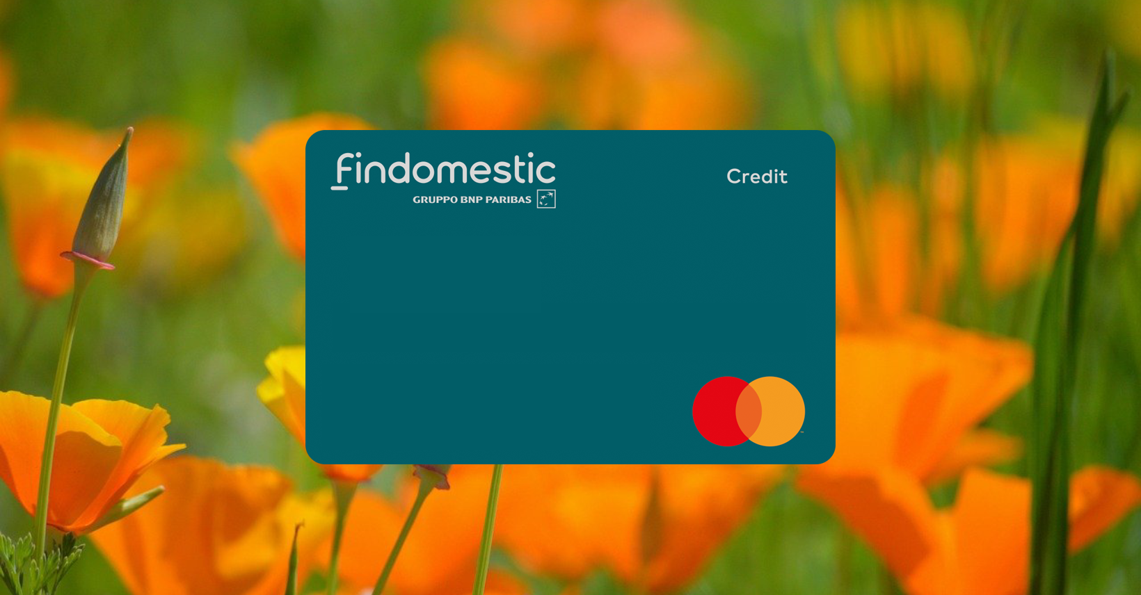 Come Richiedere la Carta di Credito Findomestic Guida Completa